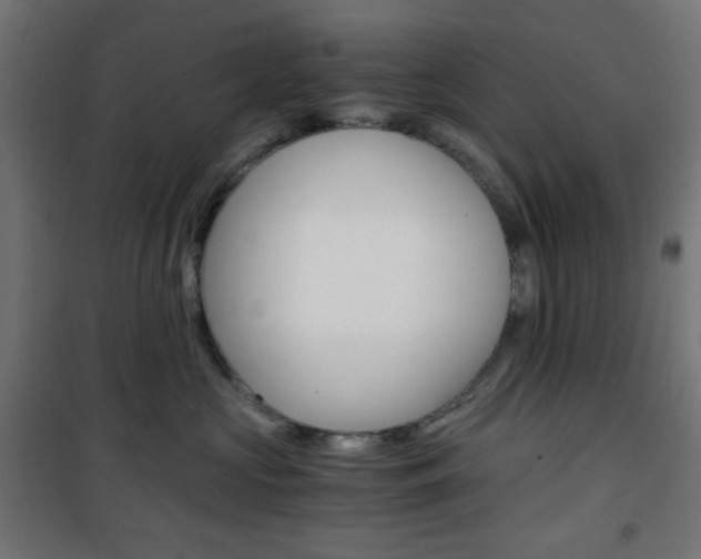 X0000101390573200807071008