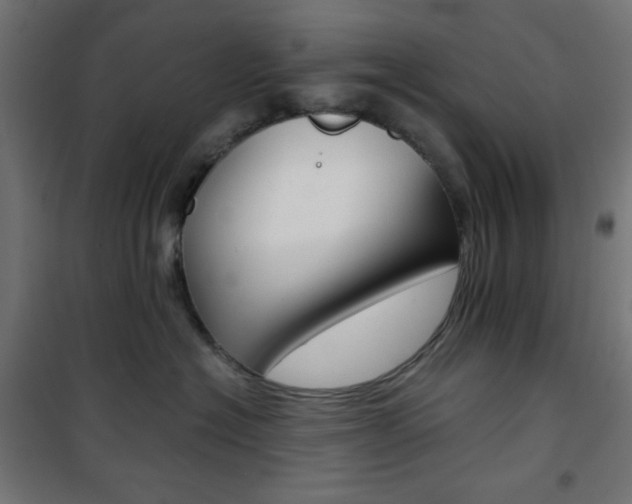 X0000101390574200807071008