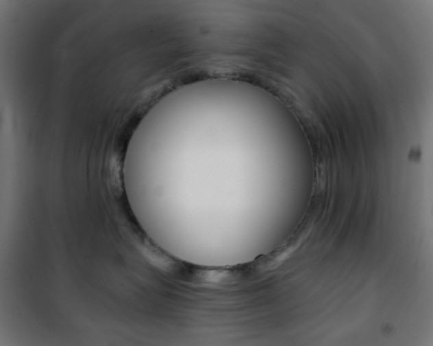 X0000101390575200807071008