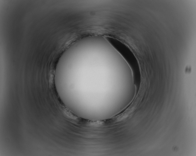 X0000101390576200807071008