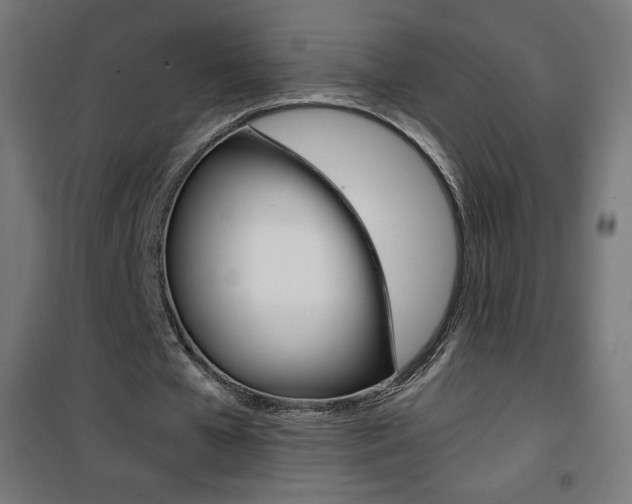 X0000101390577200807071007