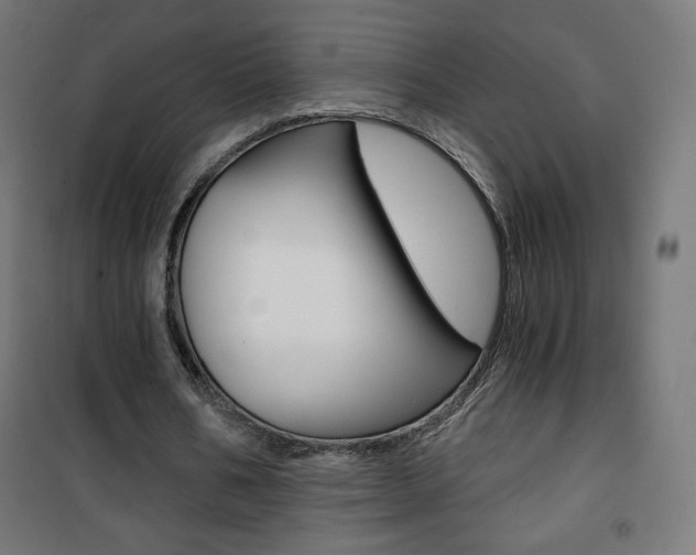 X0000101390578200807071007