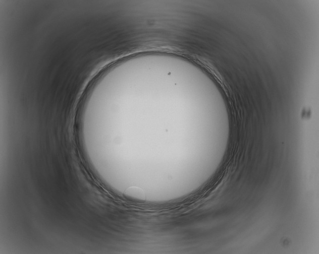 X0000101390579200807071007