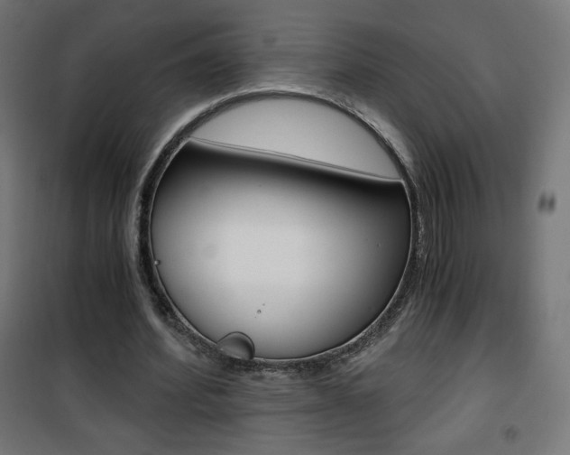X0000101390580200807071007