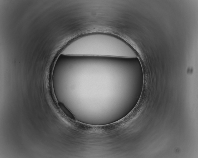 X0000101390581200807071007