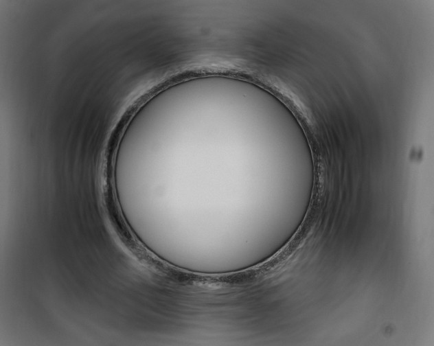 X0000101390582200807071007
