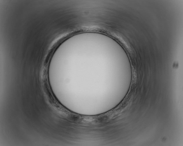 X0000101390583200807071007