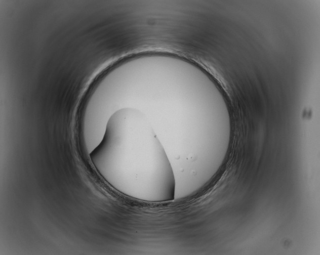 X0000101390584200807071007