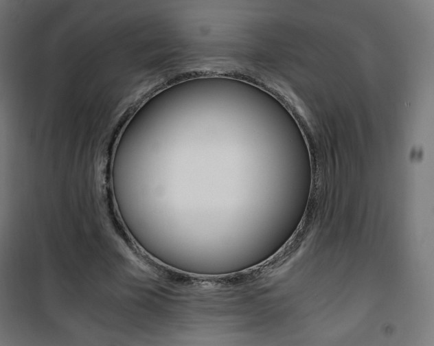 X0000101390585200807071007
