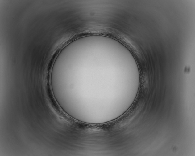 X0000101390586200807071007