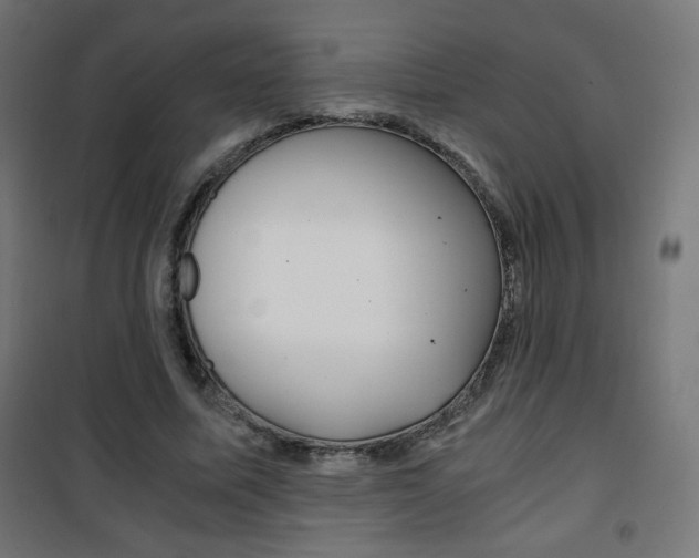 X0000101390587200807071007
