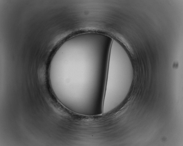 X0000101390588200807071007