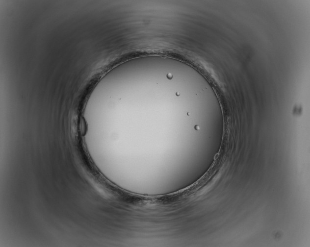 X0000101390589200807071007