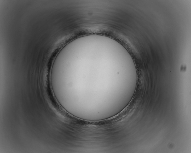 X0000101390590200807071007