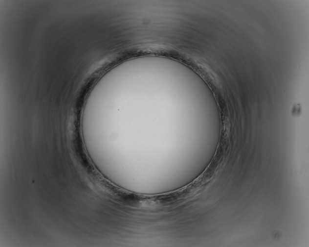 X0000101390591200807071007