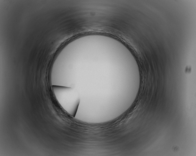 X0000101390592200807071007