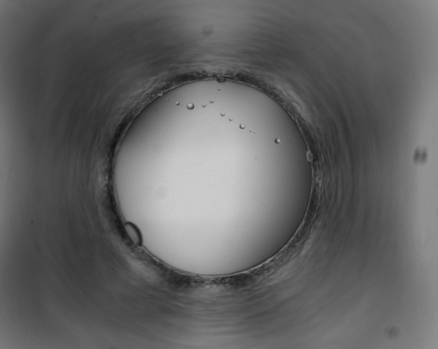 X0000101390593200807071007