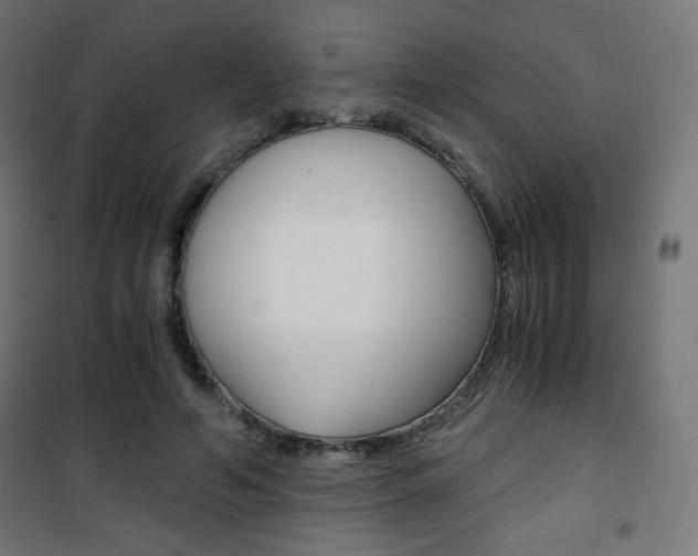 X0000101390594200807071007