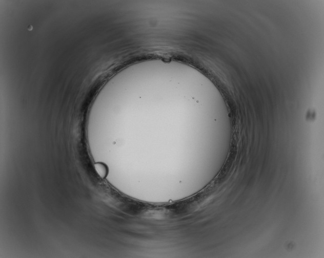 X0000101390595200807071007