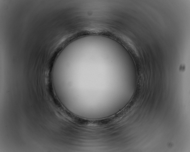 X0000101390596200807071007