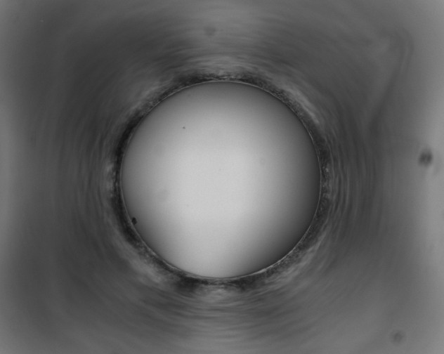 X0000101390597200807071007