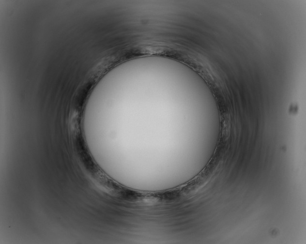 X0000101390598200807071007