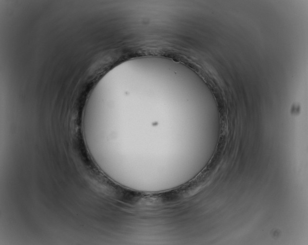 X0000101390599200807071007