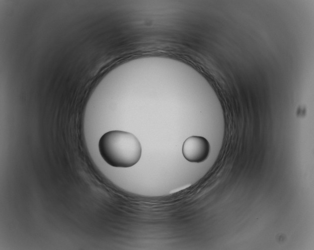 X0000101390600200807071007
