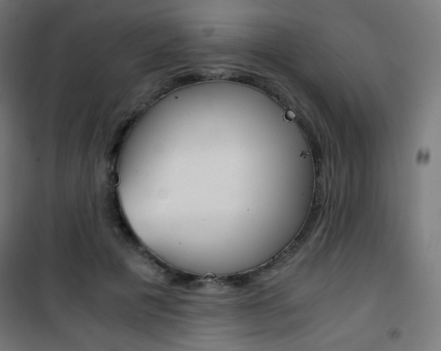 X0000101390601200807071007