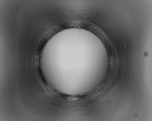 X0000101390602200807071007