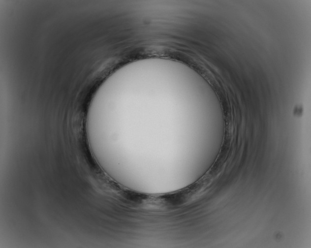 X0000101390603200807071007
