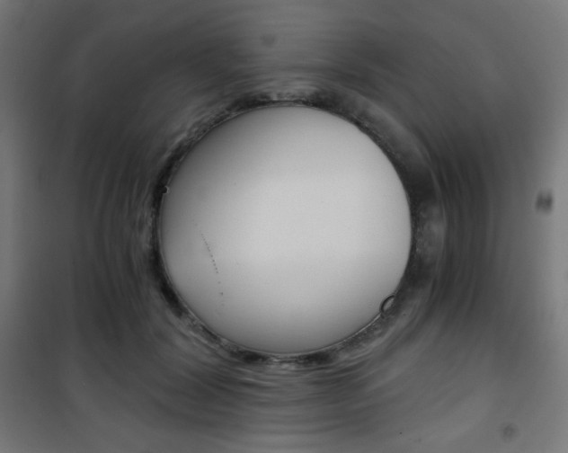 X0000101390604200807071007