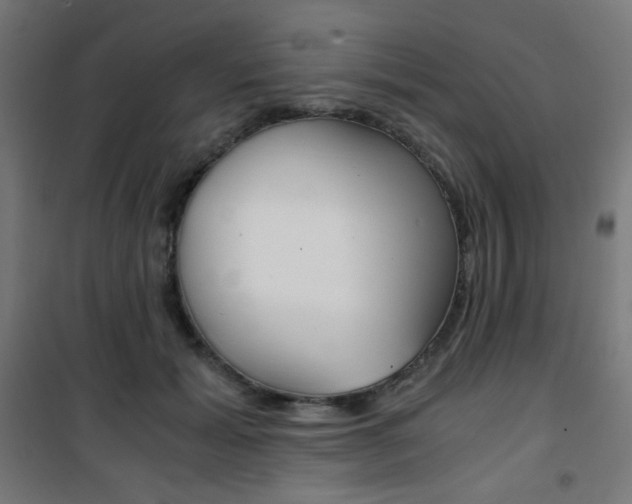 X0000101390605200807071006