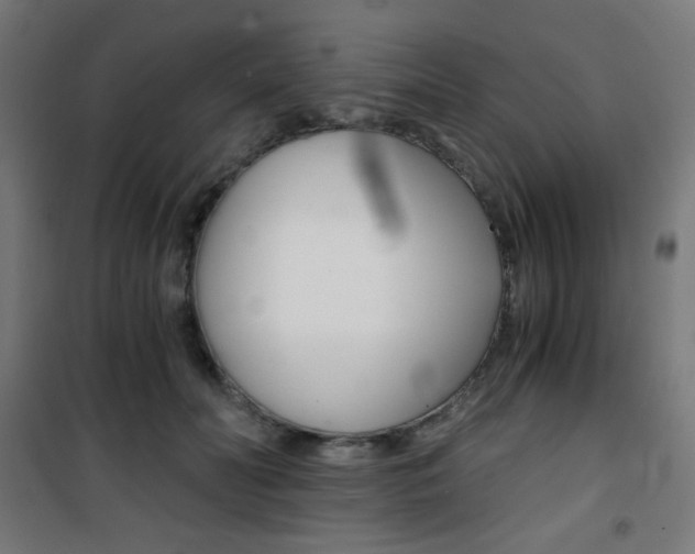X0000101390606200807071006