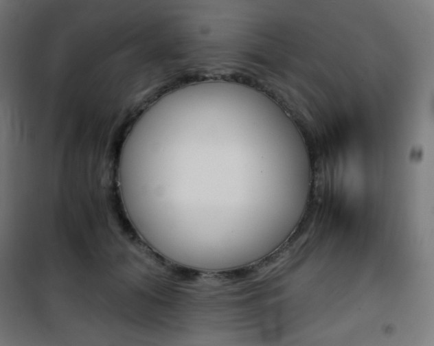 X0000101390608200807071006