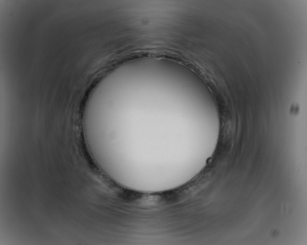 X0000101390609200807071006