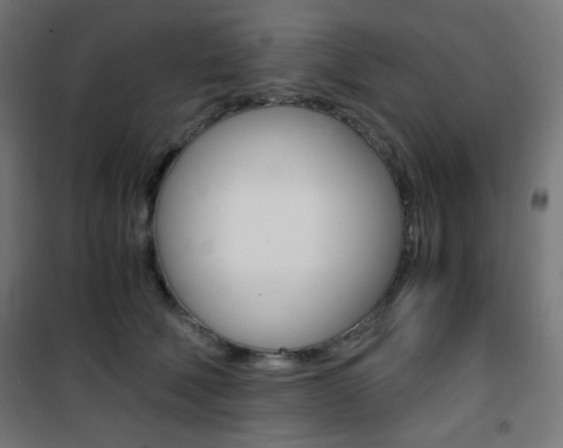 X0000101390610200807071006
