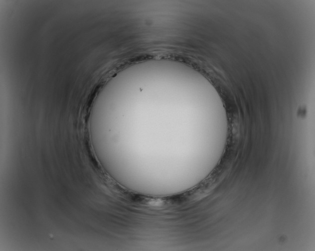 X0000101390611200807071006