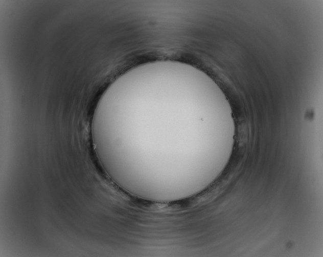 X0000101390613200807071006