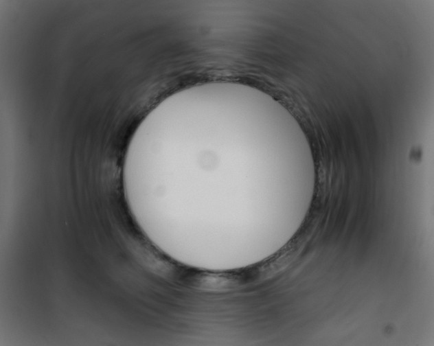 X0000101390614200807071006