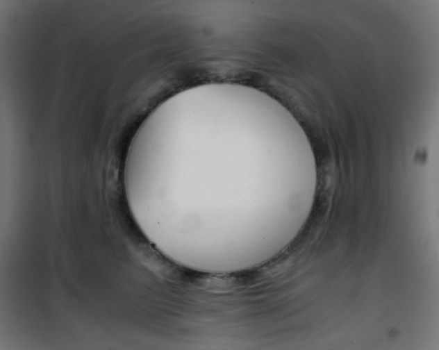 X0000101390615200807071006