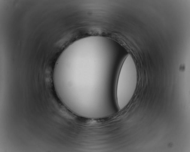X0000101390616200807071006