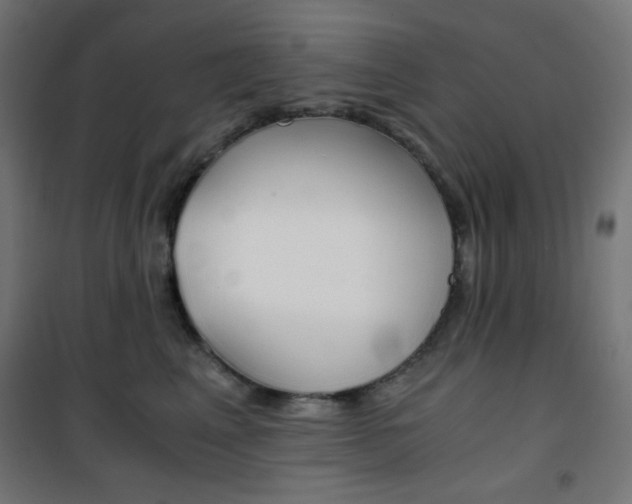 X0000101390617200807071006