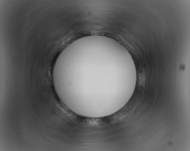 X0000101390618200807071006