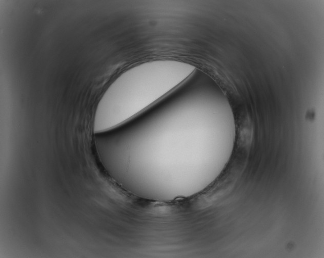 X0000101390620200807071006