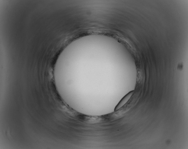 X0000101390621200807071006