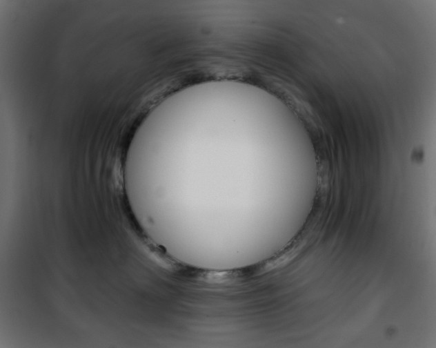 X0000101390622200807071006
