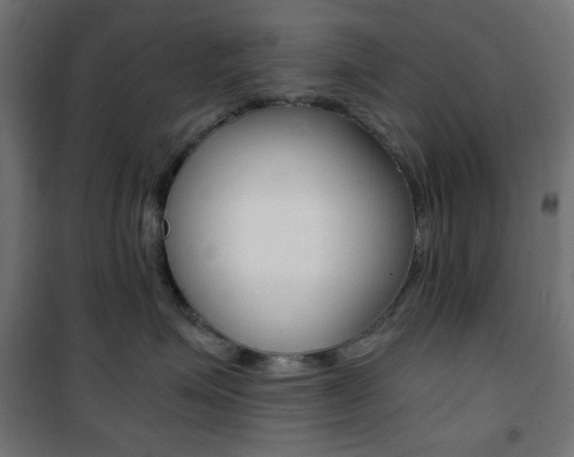 X0000101390623200807071006