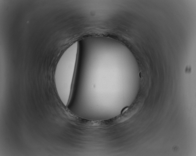 X0000101390624200807071006