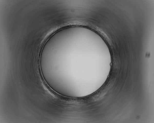 X0000101390625200807071005
